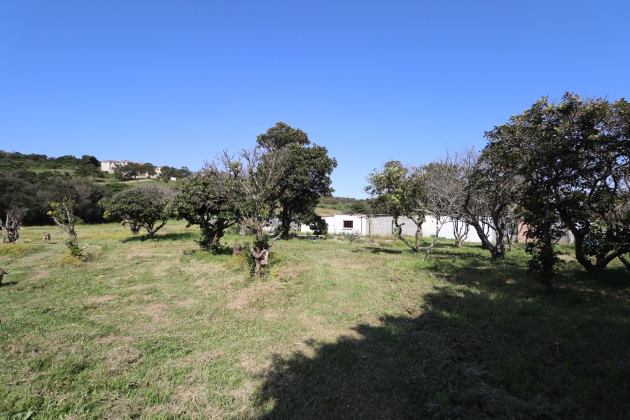 Commercial Property for Sale in Chelsea Eastern Cape